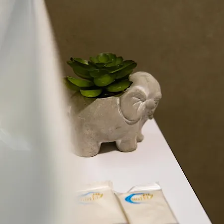 Center Hotell Tepelene