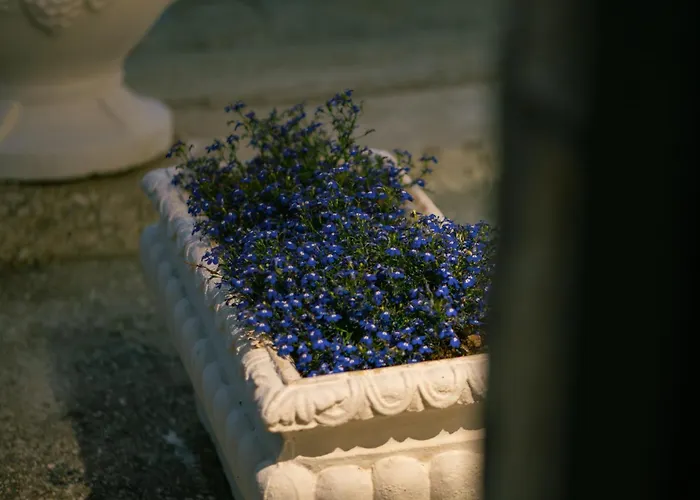 호텔 Center *